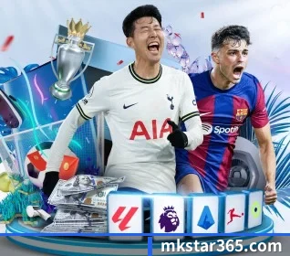 MK体育 APP 界面