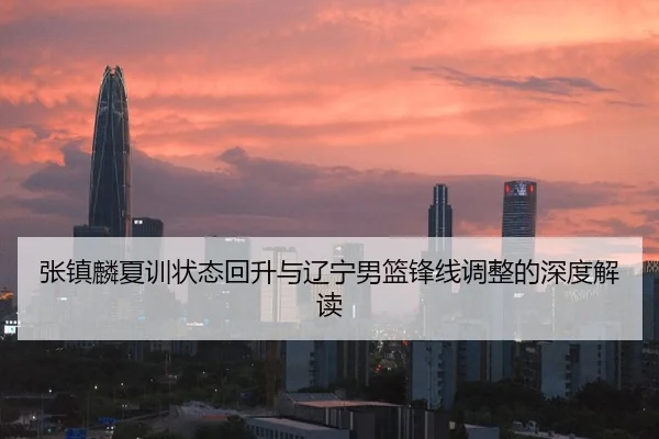 张镇麟夏训状态回升与辽宁男篮锋线调整的深度解读